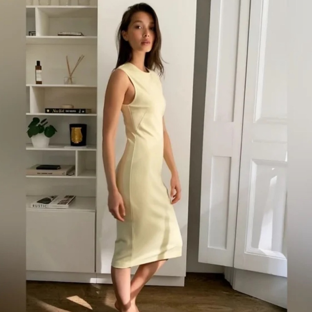 Aritizia Babaton - Sleek midi bodycon dress